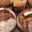 La Fougasse d'Uzès, pain