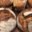 La Fougasse d'Uzès