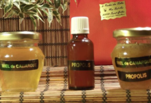 Le rucher des filles, miel de Camargue / propolis