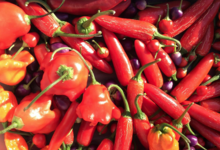 La Clède, piments