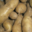 La Clède, pomme de terre