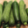 Domaine de Toury, Courgette verte moyenne