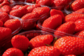Le Jardin de l'Orbieu, fraises