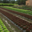 Le Jardin de l'Orbieu