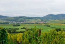 Domaine Yves Amberg