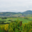Domaine Yves Amberg