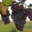 Domaine Yves Amberg