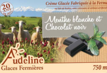 Audeline, glace au lait de brebis. Menthe blanche et chocolat noir