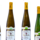 Domaine Yves Amberg, Sylvaner vieilles vignes