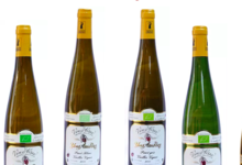 Domaine Yves Amberg, Riesling vieilles vignes