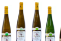 Domaine Yves Amberg, Pinot blanc vieilles vignes