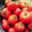 La Ferme d'à côté. tomates