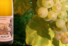 Vins Fins D'alsace Justin Boxler, Sylvaner