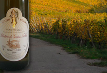 Vins Fins D'alsace Justin Boxler, Pinot Gris Sélection Grains Nobles