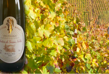 Vins Fins D'alsace Justin Boxler, Riesling Sélection Grains Nobles