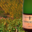 Vins Fins D'alsace Justin Boxler, Crémant Blanc d’Alsace