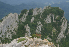 La Fromagerie des Embialades