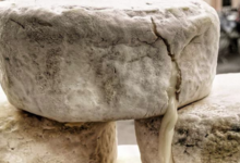 La Fromagerie des Embialades, tome de chèvre à souhait