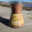 Les sels de Gruissan. Pot Verre Gros Sel Fou