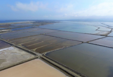 Salin de La Palme