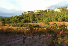 Château Aiguilloux