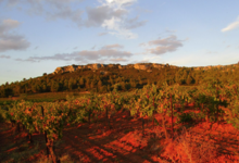 Château Aiguilloux