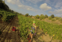 Domaine La Sarabande