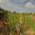 Domaine La Sarabande