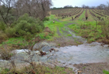 Domaine La Sarabande