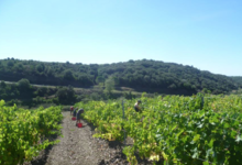 Domaine La Sarabande