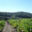 Domaine La Sarabande