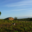 Domaine La Sarabande