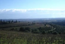 Domaine La Sarabande