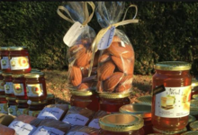 Miel des demoiselles. Madeleines au miel