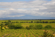 Domaine Jocelyn Raoux