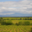 Domaine Jocelyn Raoux
