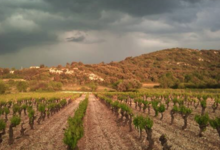 Domaine Jocelyn Raoux