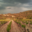 Domaine Jocelyn Raoux