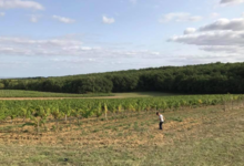 Domaine Plageoles