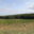 Domaine Plageoles