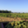 Domaine Plageoles