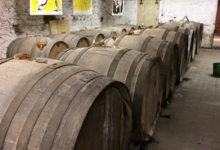 Domaine Plageoles