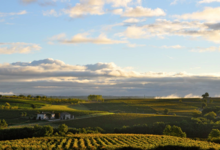 Domaine Plageoles