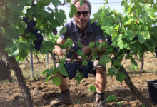 Domaine Peyres Roses