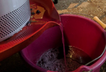 Domaine Peyres Roses
