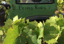 Domaine Peyres Roses