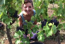 Domaine Peyres Roses