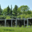 C-Weed Aquaculture. Algues alimentaires
