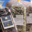 C-Weed Aquaculture. Algues alimentaires
