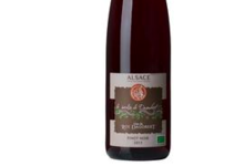 Cave Du Roi Dagobert. Pinot Noir Bio